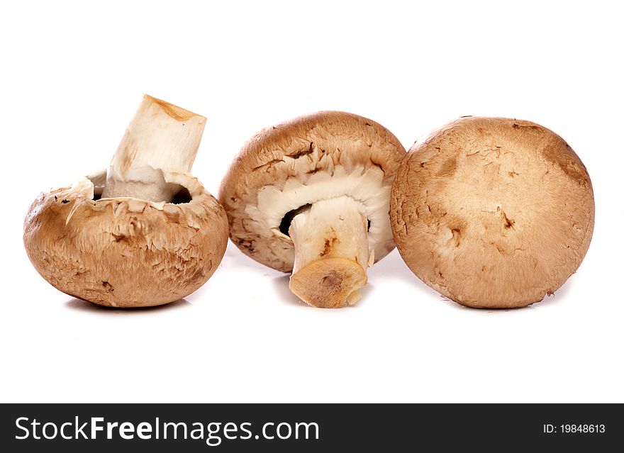 Three chestnut mushrooms studio cutout