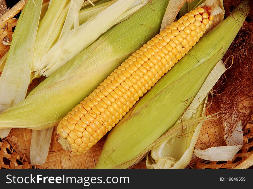 Corn on table. Close-up. Corn on table. Close-up