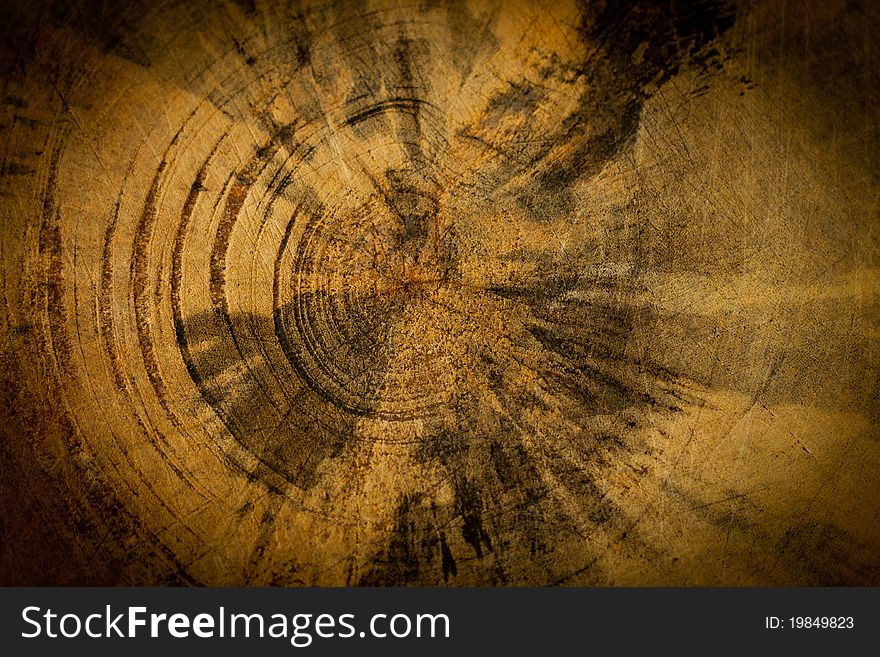 Old Wood Texture (detail Of The Trunk Of A Tree)