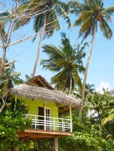 Tourist Hut Under Palms, Beach, Sri Lanka Stock Image Tourist Hut Under Palms, Beach, Sri Lanka Stock Image
