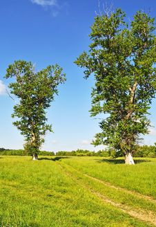 Country Landscape With Meadow And Trees Royalty Free Stock Photos