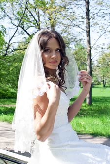 Beautiful Young Bride Sitting On A Bench Stock Image Beautiful Young Bride Sitting On A Bench Stock Image