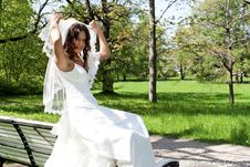 Beautiful Young Bride Sitting On A Park Bench Royalty Free Stock Photography Beautiful Young Bride Sitting On A Park Bench Royalty Free Stock Photography
