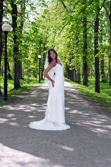 Young Bride Standing In An Alley In The Park Royalty Free Stock Image Young Bride Standing In An Alley In The Park Royalty Free Stock Image