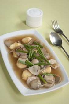 Tofu Stock Photo Tofu Stock Photo