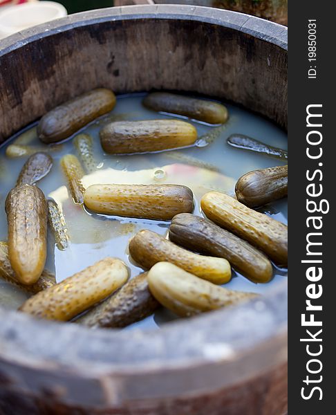 Variety of saline cucumber in the wood