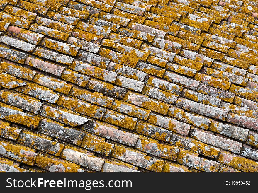 Tile roof with lichens in Pitigliano in Tuscany. Tile roof with lichens in Pitigliano in Tuscany