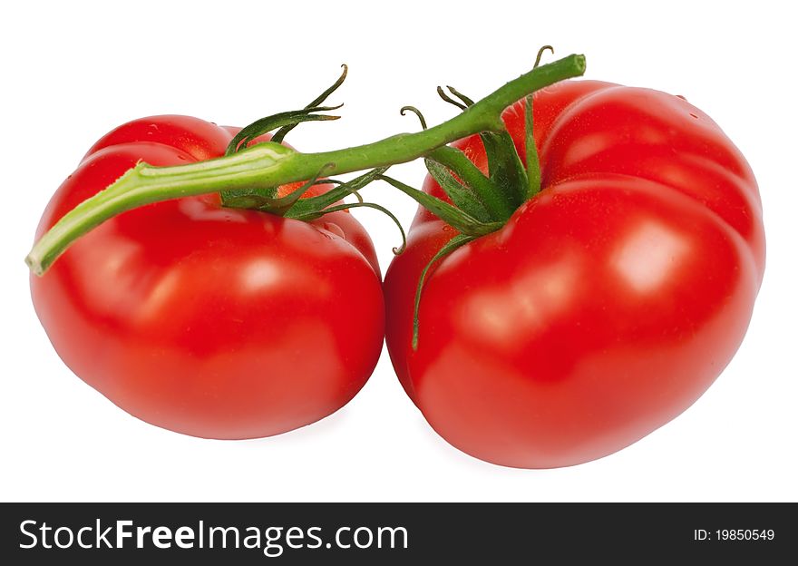 Two ripe tomatoes isolated on a white. Two ripe tomatoes isolated on a white