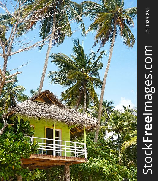tourist hut under palms, beach, Sri Lanka