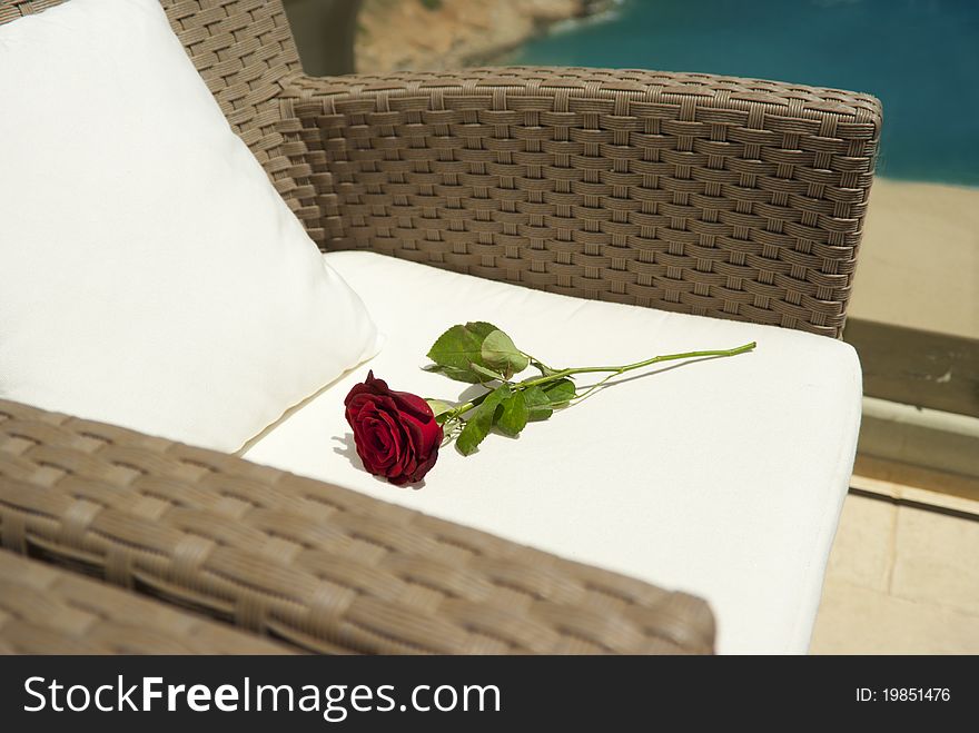 Red rose on the armchair near Mediterranean sea. Red rose on the armchair near Mediterranean sea