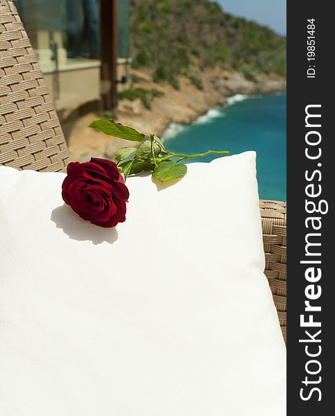 Red rose on the white cushion near Mediterranean sea. Red rose on the white cushion near Mediterranean sea
