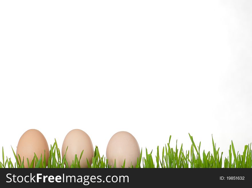 Background close colorful colors decoration design detail easter eggs fresh freshness grass happy holiday macro painted pattern seasonal souvenir symbol texture tradition traditional