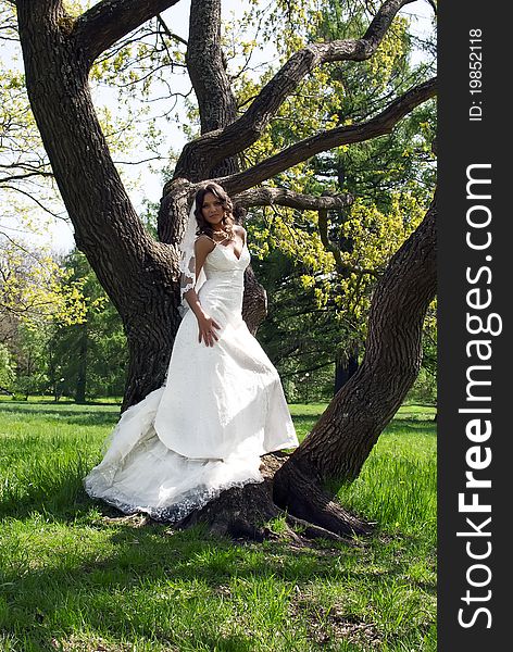 Beautiful young bride leaned against a tree