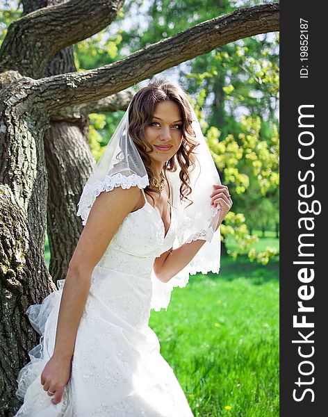 Attractive Bride stands about trees in the park and keep the veil in his hand