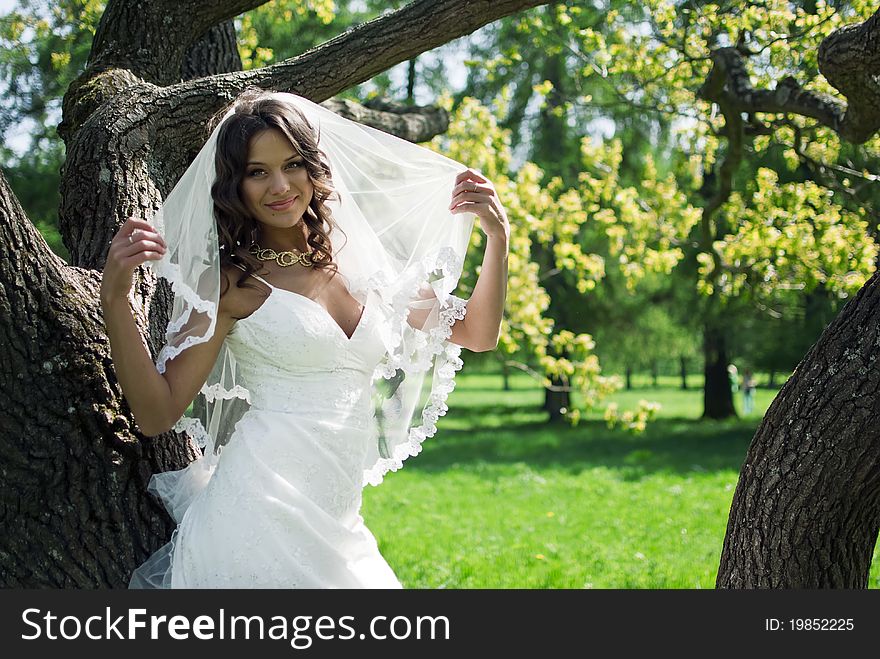 Attractive Bride stands about trees in the park and keep the veil in his hand