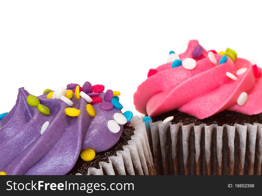 Cupcakes isolated on white background with text space