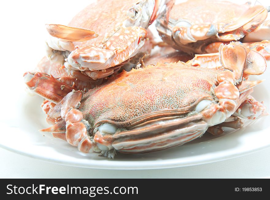 Cooked crab on a  plate in white background