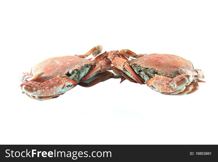 Crab