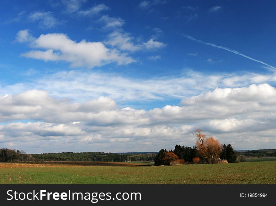 Green meadow with small forest and sky with nice clouds. Green meadow with small forest and sky with nice clouds