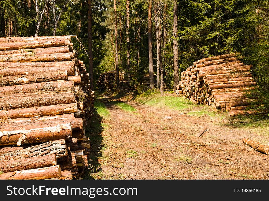 The cut down trees combined together. The cut down trees combined together