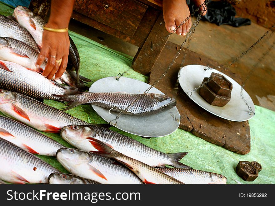 Selling at fish market by manual weighing machine