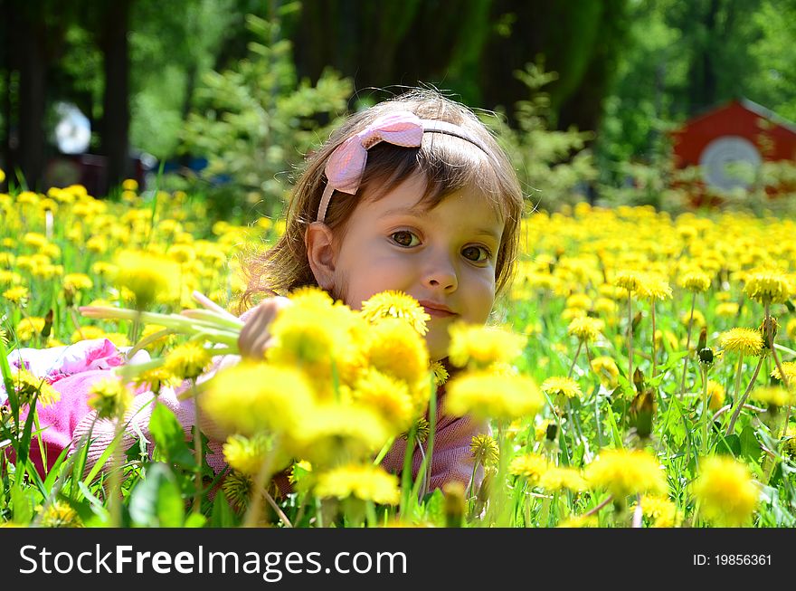 Girl In Dandelions