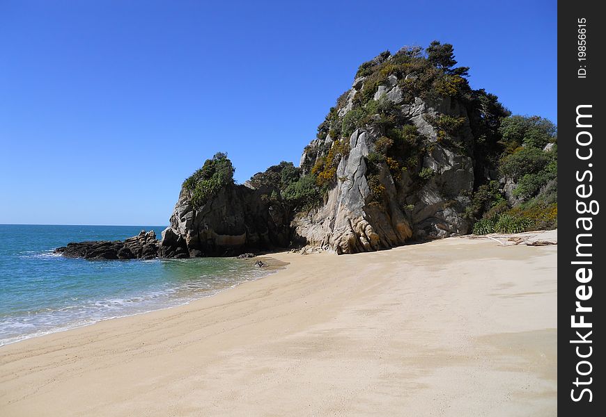 A beach in New Zealand with turquoise waters. A beach in New Zealand with turquoise waters