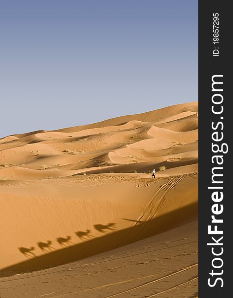 Erg Chebbi Dune with camel shadows and touareg