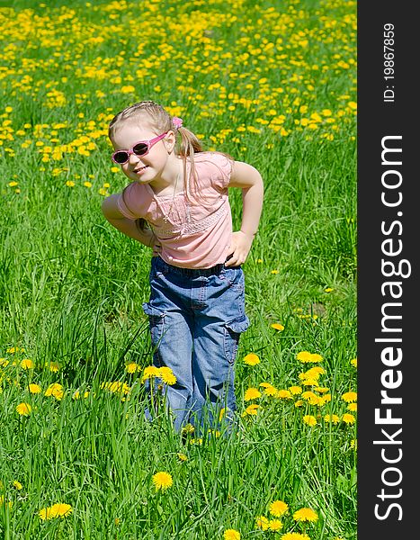 The little beautiful girl collects yellow dandelions. The little beautiful girl collects yellow dandelions