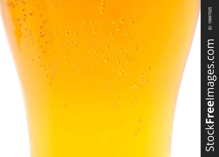 Beer on a white background