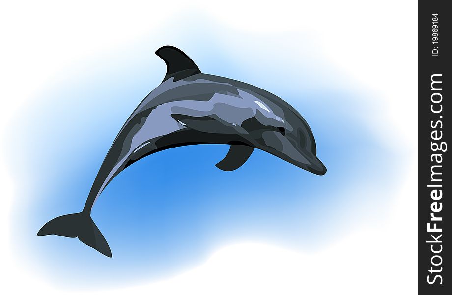 Jumping dolphins on light blue background