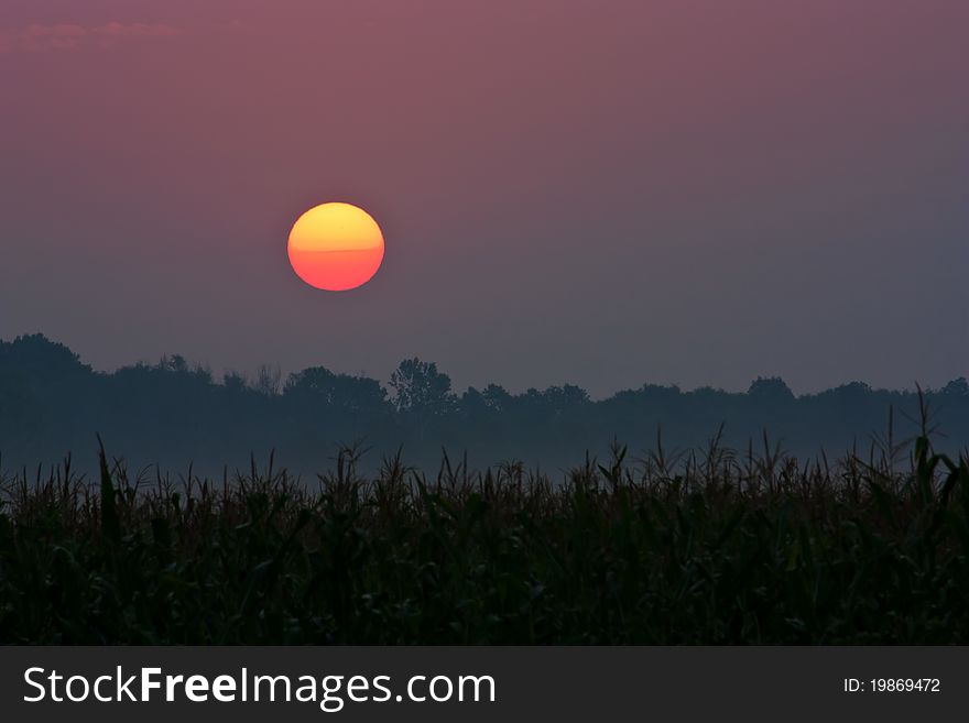 Sunrise over a field of crops