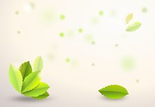 Abstract Background With Green Leaves Royalty Free Stock Photo Abstract Background With Green Leaves Royalty Free Stock Photo