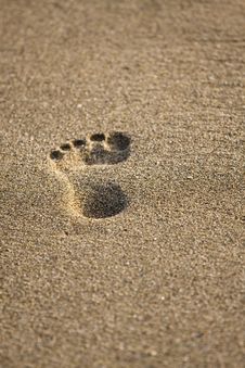 Footprints Royalty Free Stock Photo Footprints Royalty Free Stock Photo