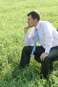 Pensive Businessman On Meadow Stock Images