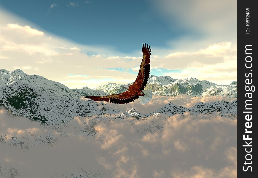 Eagle In The Cold Mountains