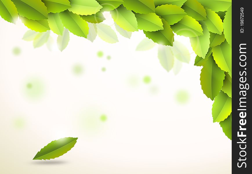 Abstract background with green leaves - illustration