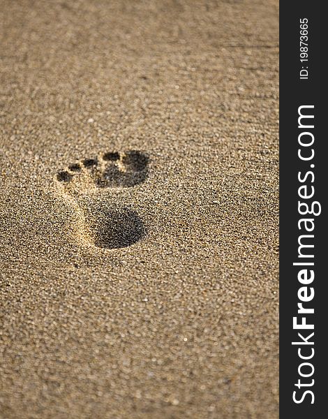 Footprints in wet sand of beach