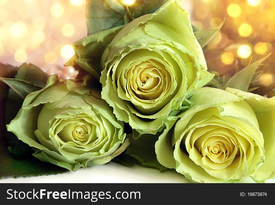 Bouquet of white roses on a bright background