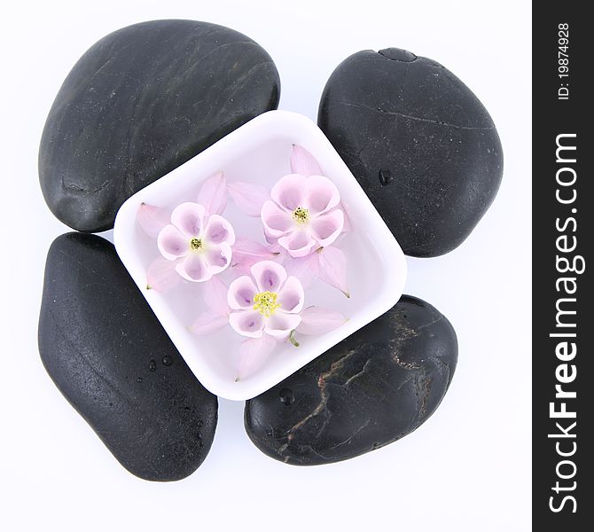 Floating Flower And Spa Stones
