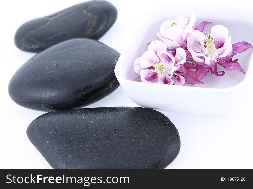 Columbine flowers floating in a bowl and spa stones on a white background. Columbine flowers floating in a bowl and spa stones on a white background