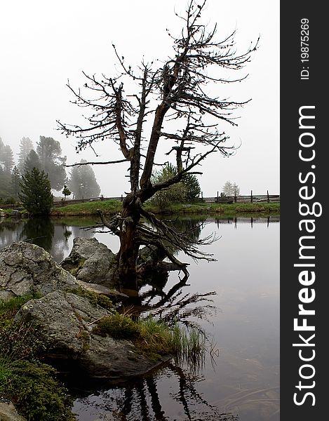 Mysterious, foggy lake at the Nockalm Alps mountains, Austria, Europe