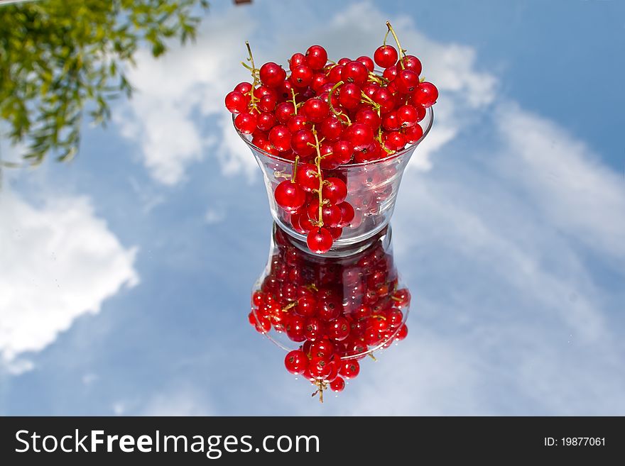 A pile of red currant