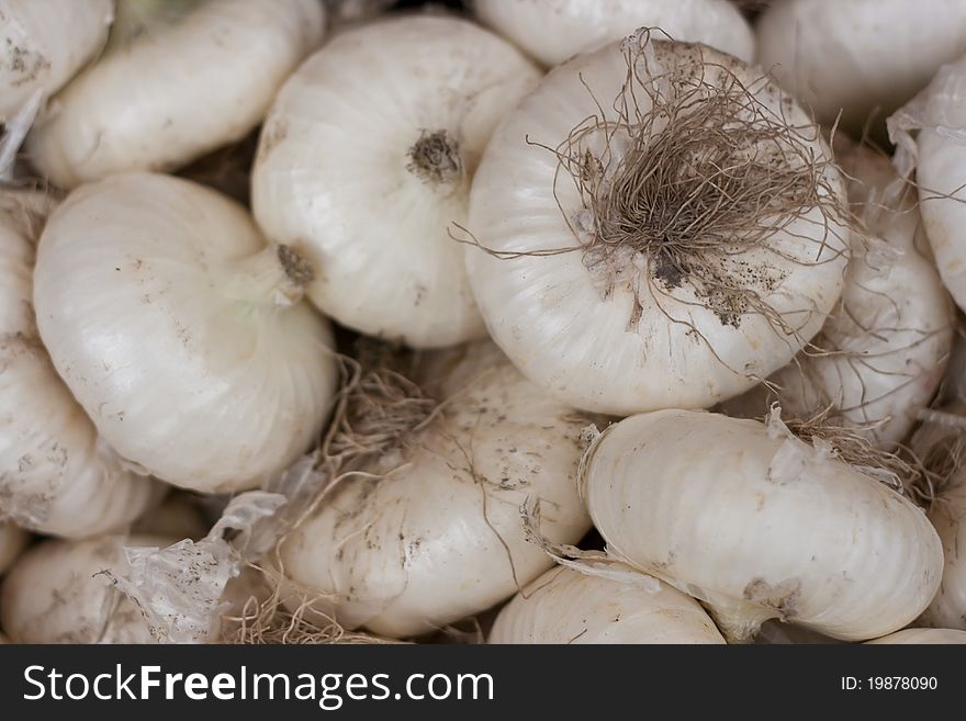 Fresh onions on display at an Italian farmers' market
