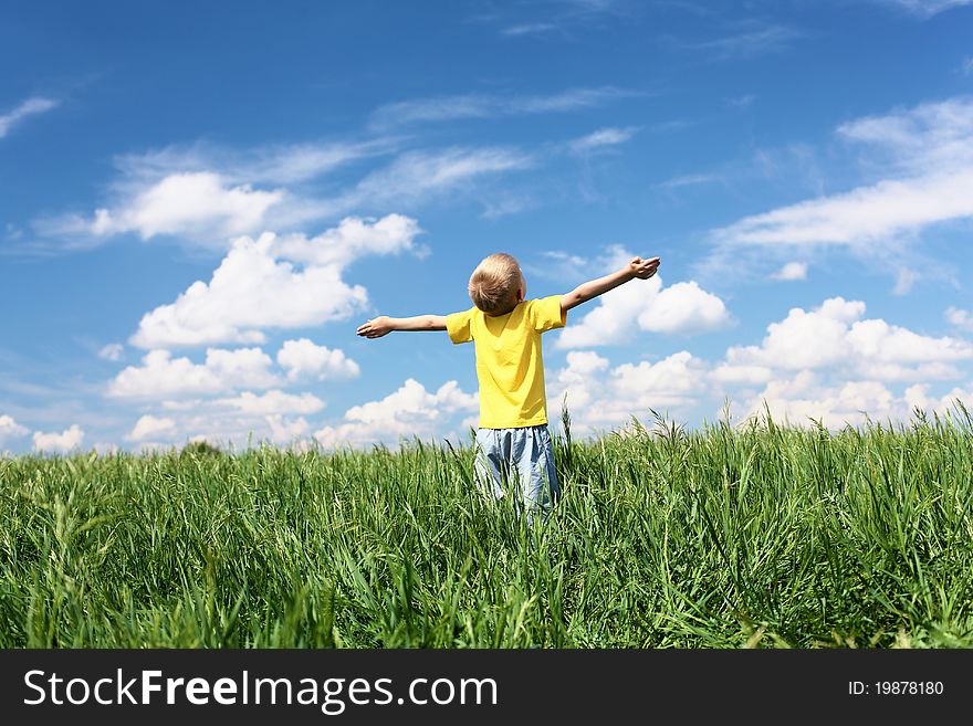 Little boy outdoors in sunny summer day