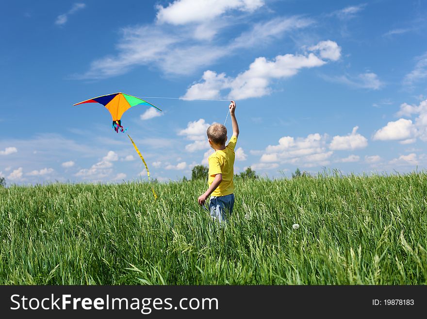 Little boy outdoors in sunny summer day