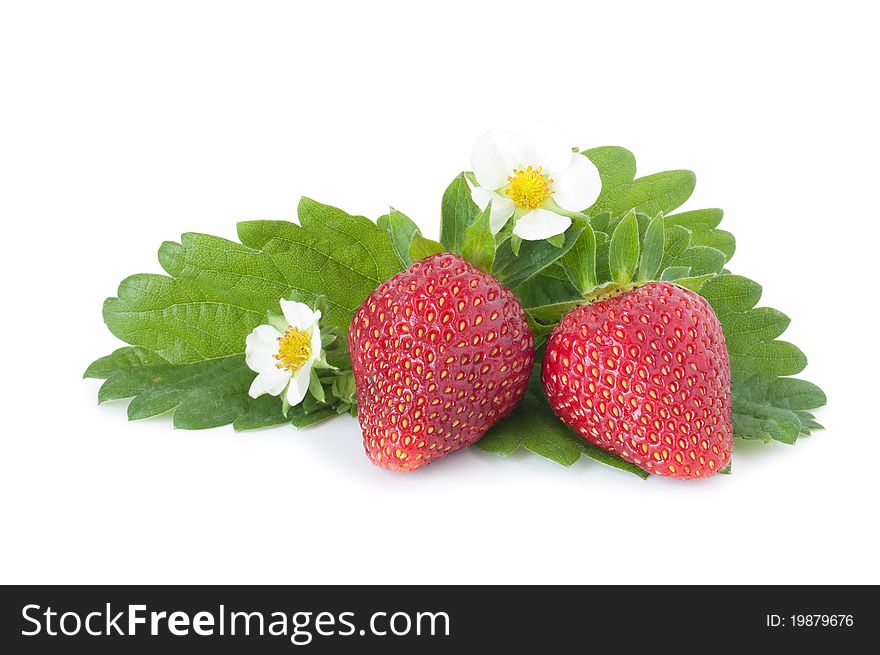 Strawberry with leafs isolated on white