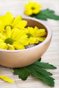 Yellow Flowers In Wooden Bowl Stock Image