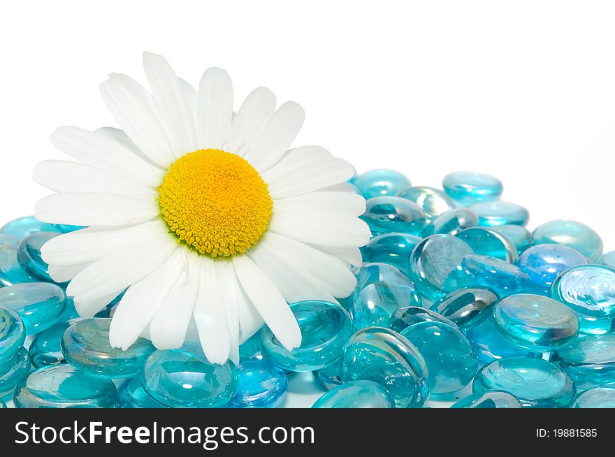 Daisy On Blue Glass Stones