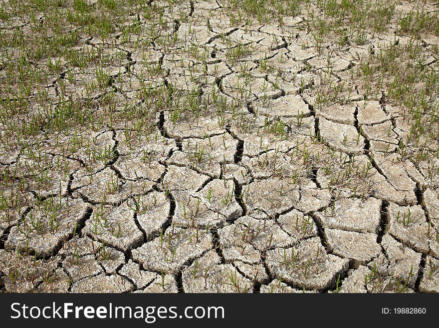 Cracked Soil In Dry Season